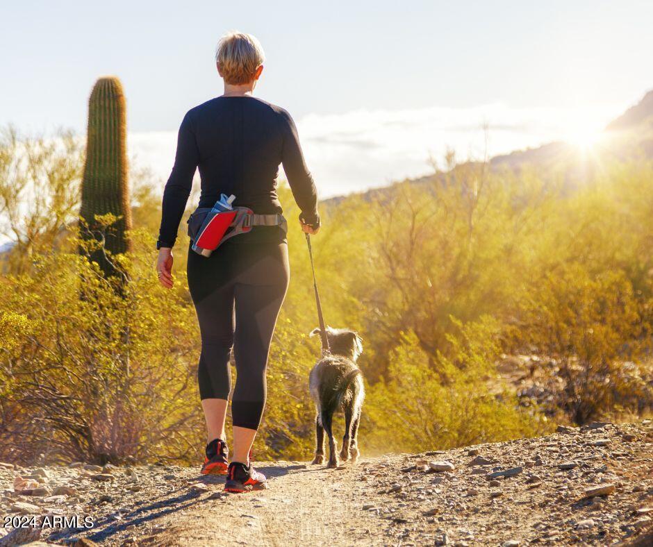 2149 East Lawrence Road Phoenix, AZ 85016 - Photo 53 of 53 Trails of Piestewa Peak