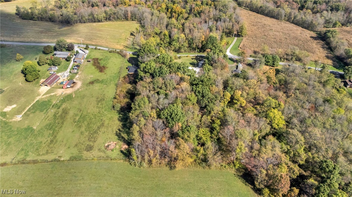 43575 Cream Ridge Road Lisbon, OH 44432 - Photo 40 of 50 View of property location featuring a forest