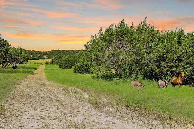 a view of grassy field with trees