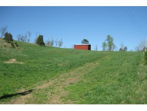 3185 Milburnton Road Limestone, TN 37681 - Photo 3 of 21 Photo 3