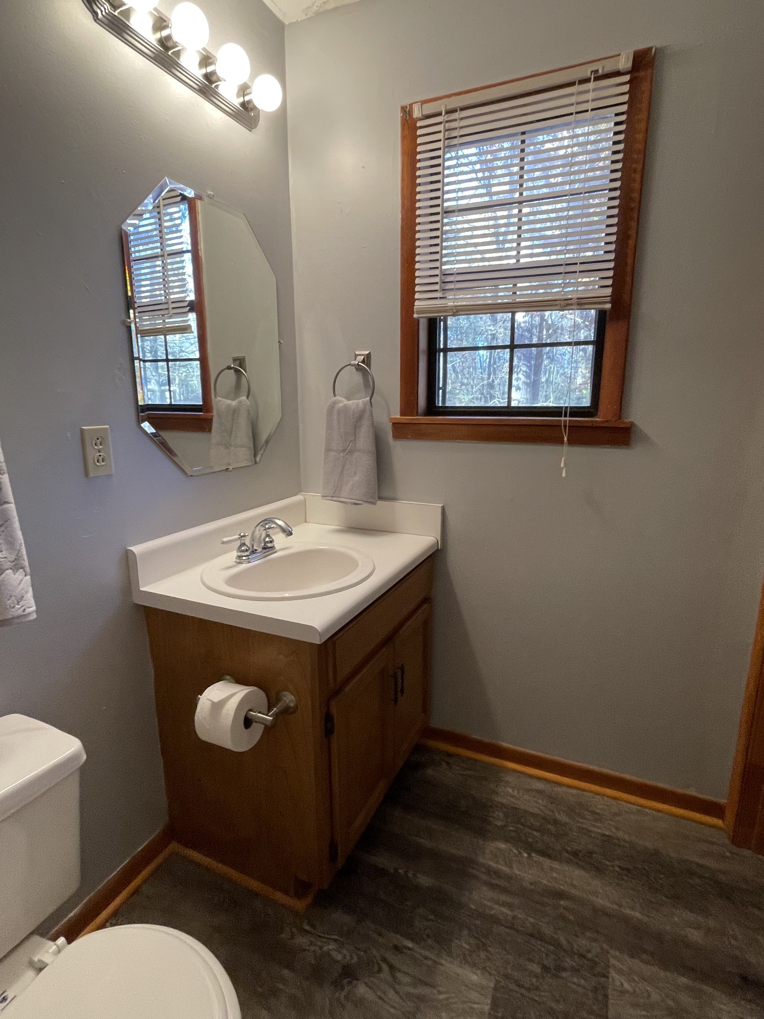 470 Cat Creek Road Manchester, TN 37355 - Photo 12 of 20 a bathroom with a sink toilet and a mirror