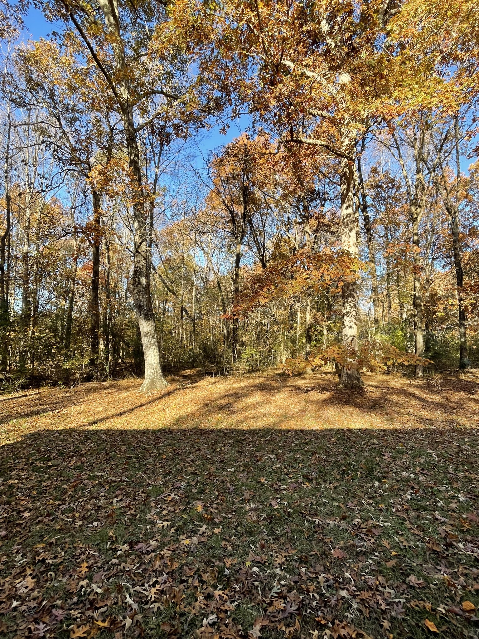 470 Cat Creek Road Manchester, TN 37355 - Photo 20 of 20 a view of a yard with wooden fence