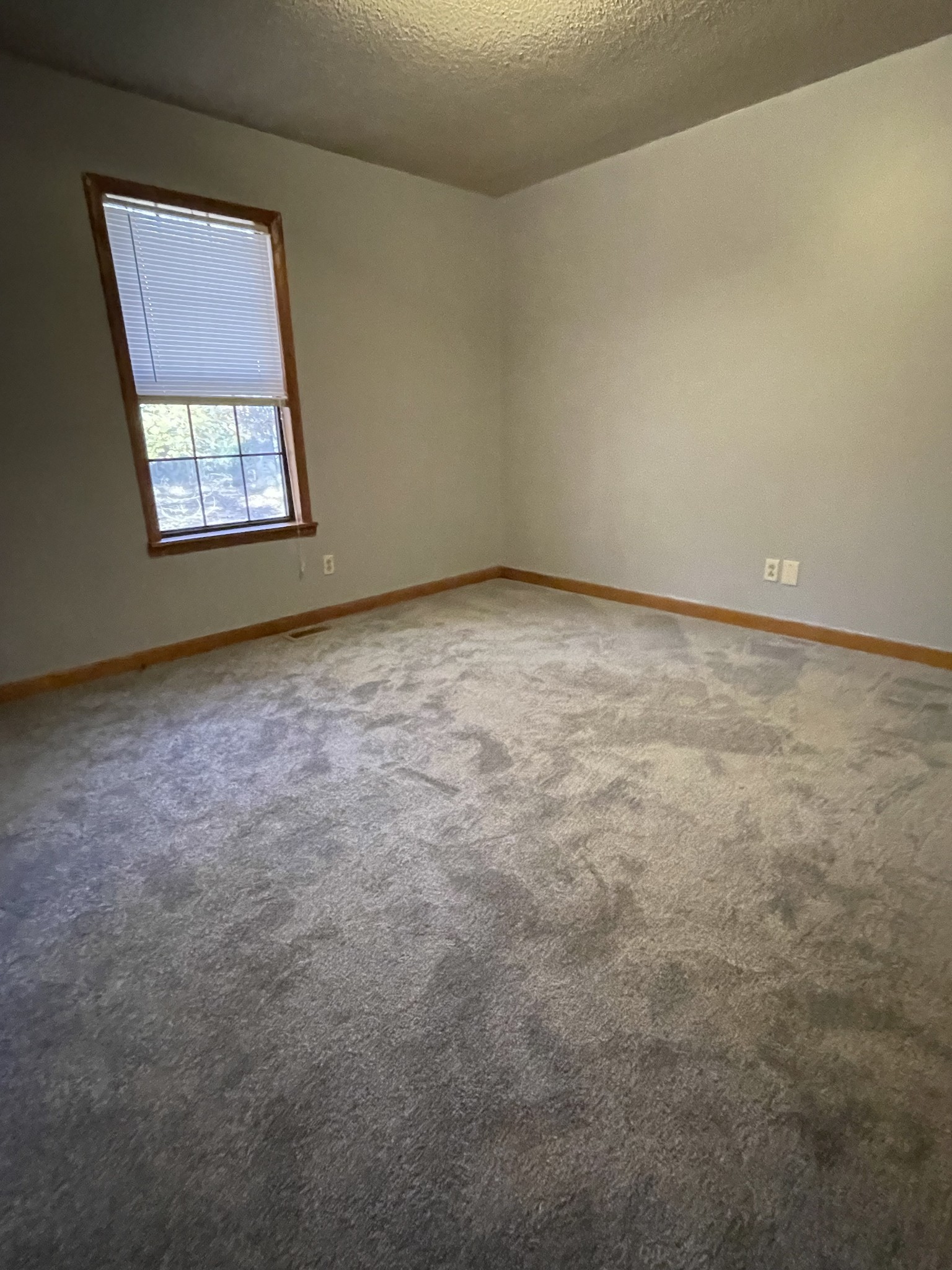 470 Cat Creek Road Manchester, TN 37355 - Photo 9 of 20 an empty room with windows