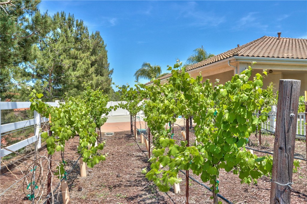41380 La Sierra Road Temecula, CA 92591 - Photo 54 of 72 a front view of a house with a yard