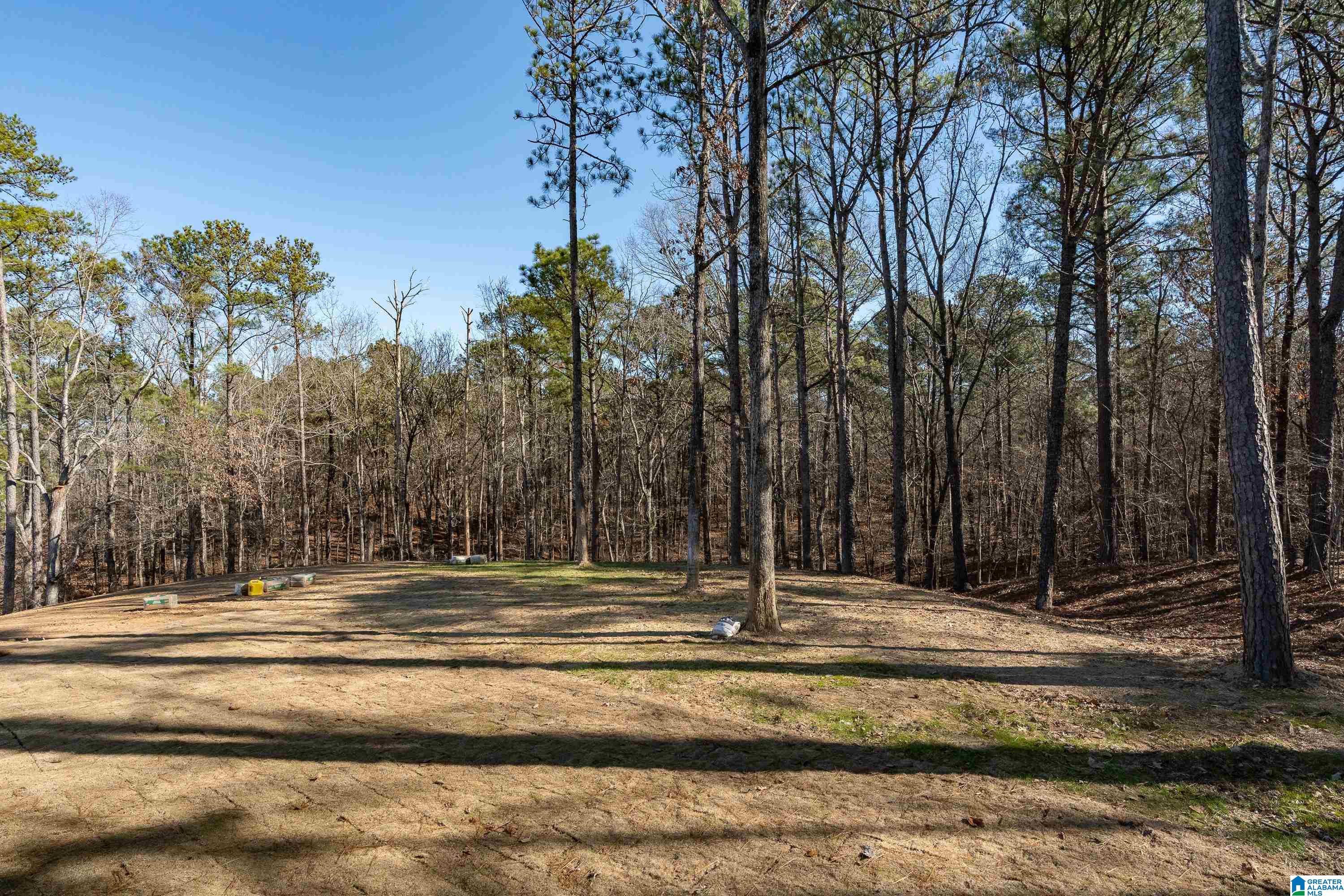 247 Weatherly Club Drive Alabaster, AL 35007 - Photo 37 of 51
