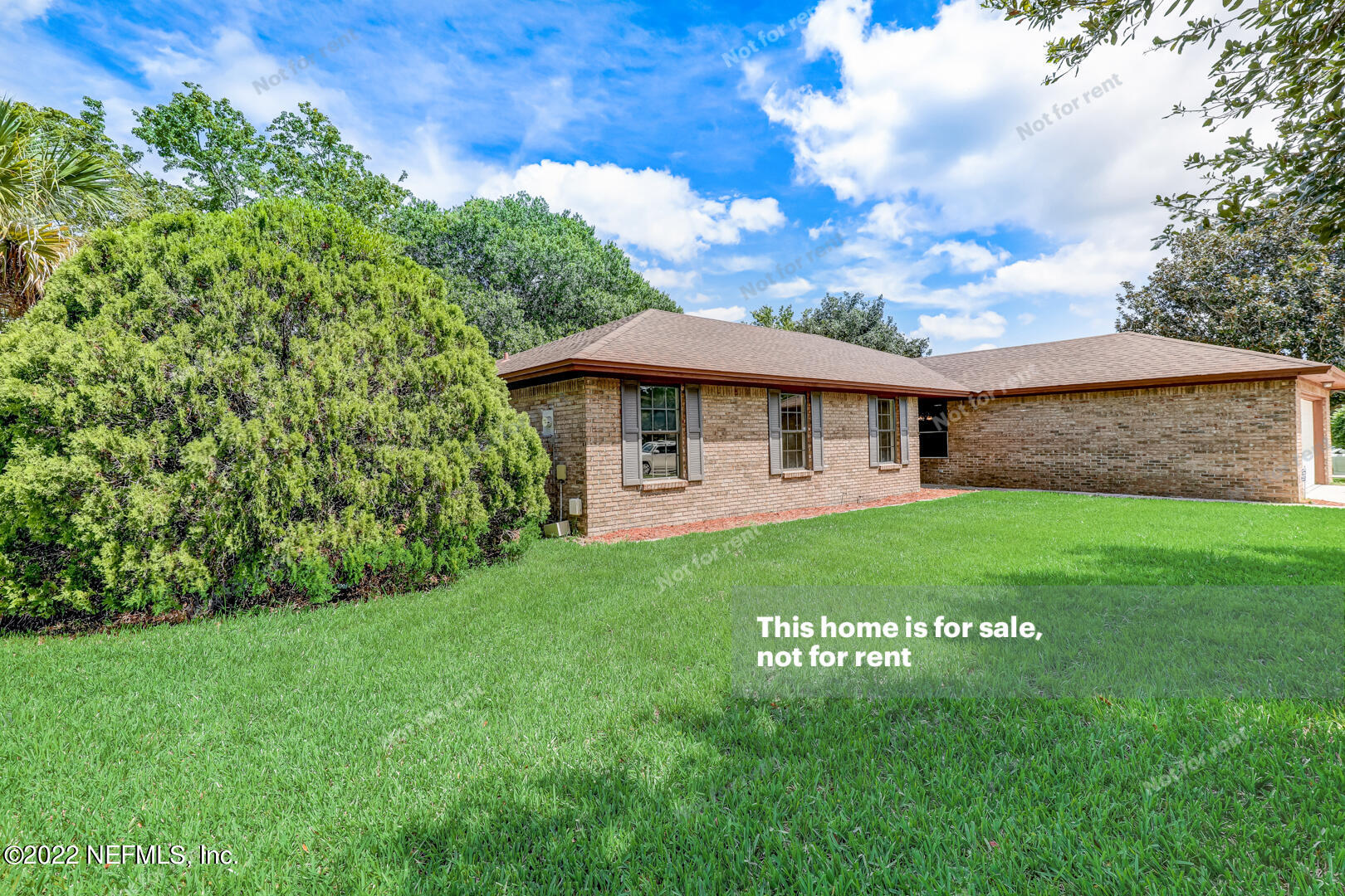 12501 Running River Road South Jacksonville, FL 32225 - Photo 10 of 29 listing_7