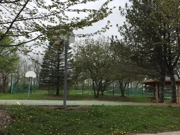 a garden view with large trees