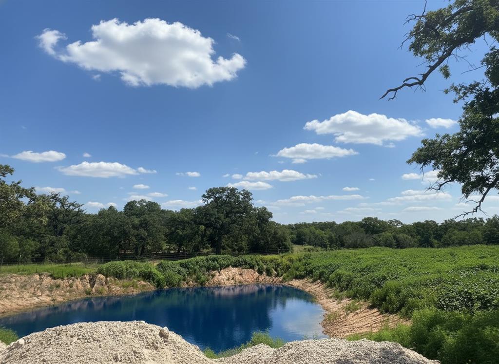 1096 County Road 345 Ranger, TX 76470 - Photo 6 of 9 a view of lake with green space