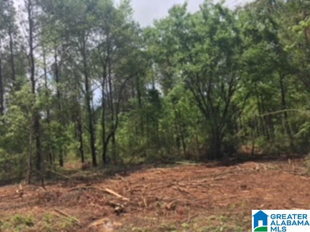 325 Springhill Road, Unit 1 Talladega, AL 35160 - Photo 11 of 31