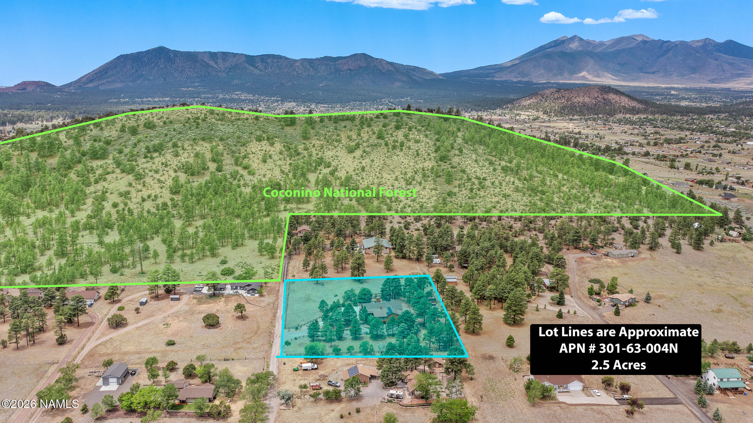 8921 Hulls Road Flagstaff, AZ 86004 - Photo 76 of 80 National Forest at the Corner of the Lot