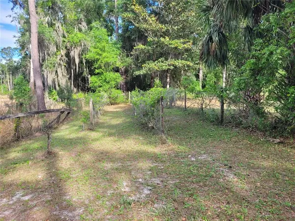 a view of a yard with a tree