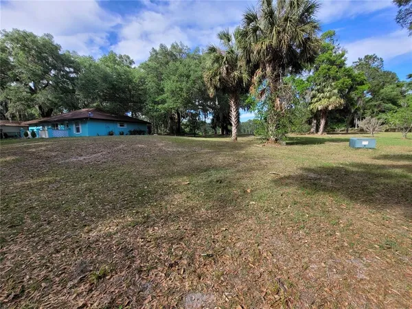 a view of a field with large trees