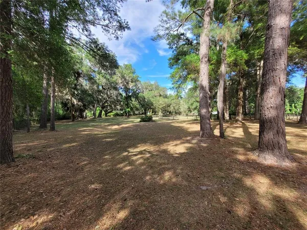 a view of outdoor space with trees