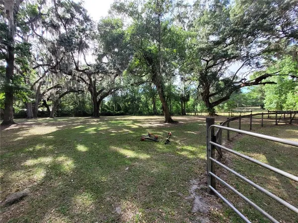 a view of a yard with plants and trees