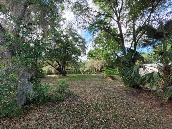 a view of a yard with plants and trees
