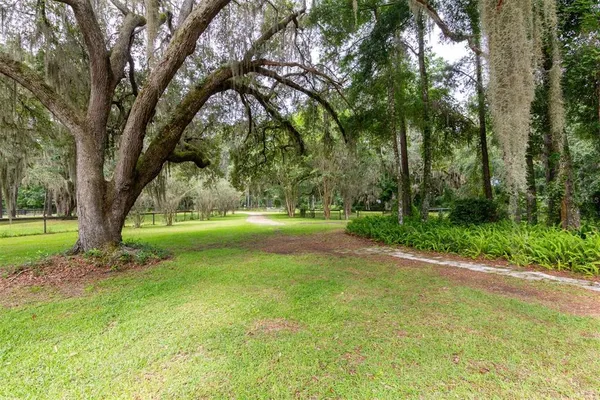 a view of a yard with a tree