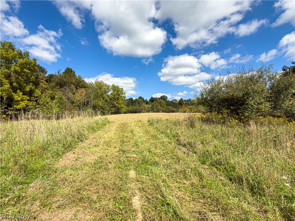 7145 Bluebird Road Northwest East Canton, OH 44730 - Photo 19 of 50 Gallery Image 19