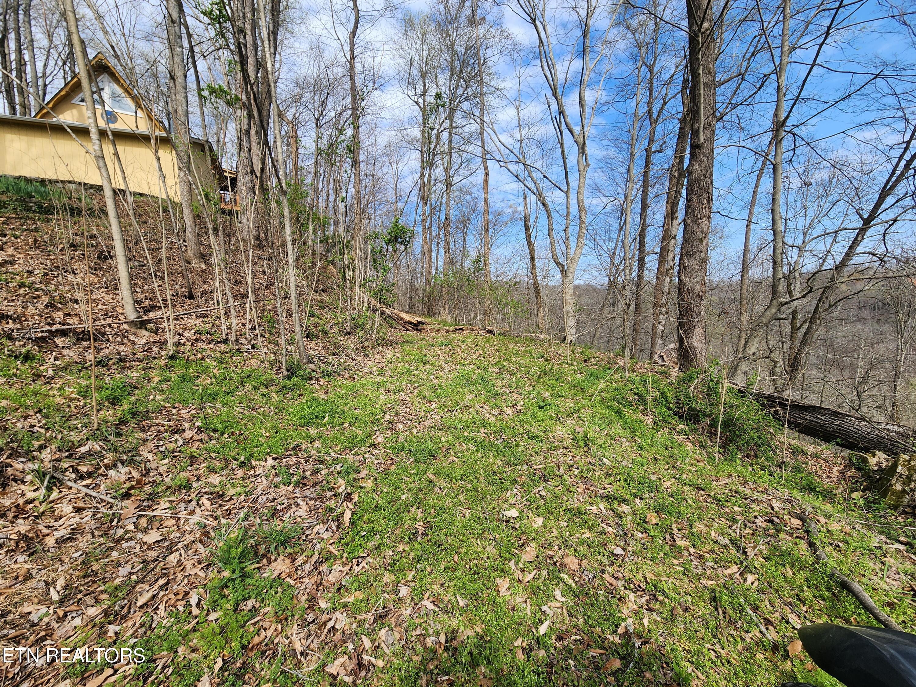 Alpine Drive Smithville, TN 37166 - Photo 3 of 4 20260325_102847