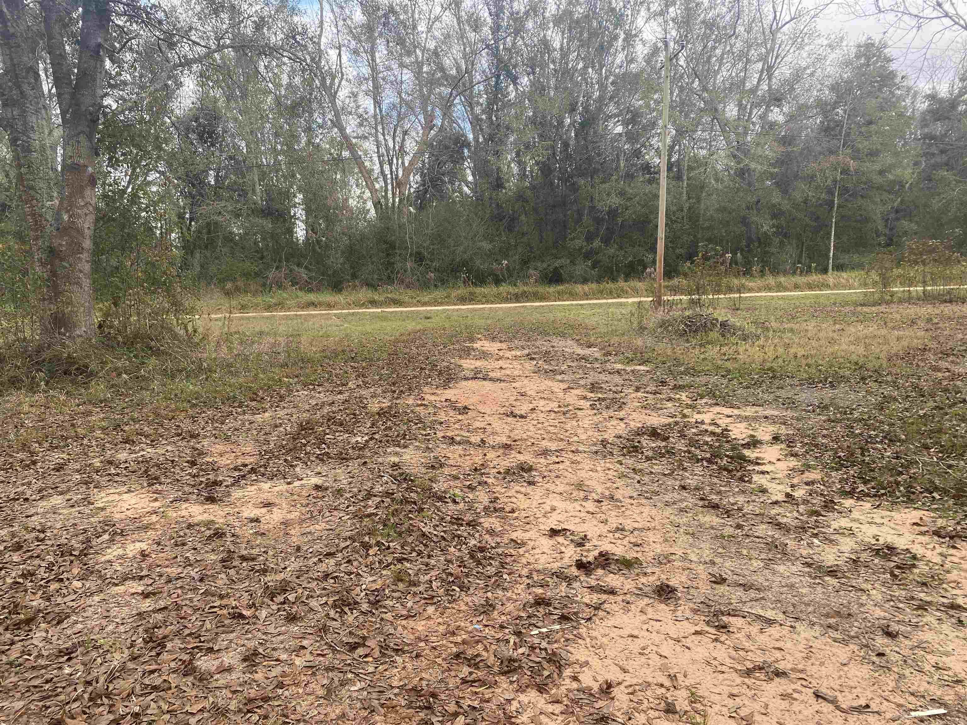 15439 Nance Road Foley, AL 36535 - Photo 3 of 9 north side