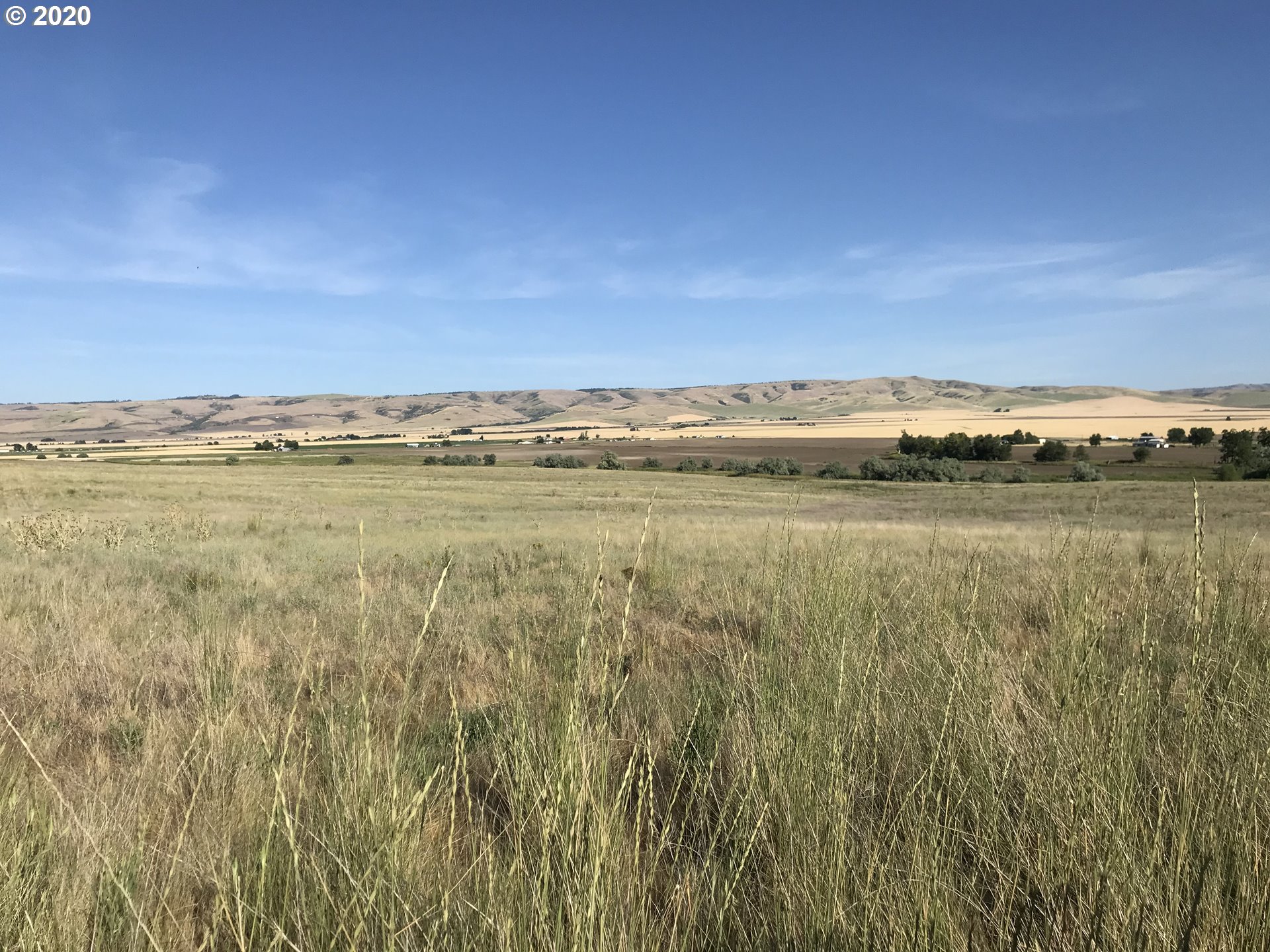 Goad Road Pendleton, OR 97801 - Photo 1 of 7