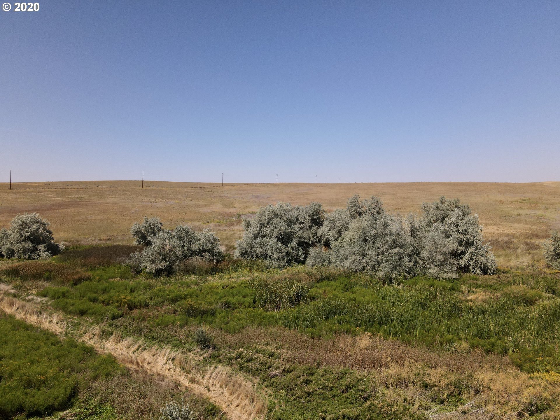 Goad Road Pendleton, OR 97801 - Photo 3 of 7