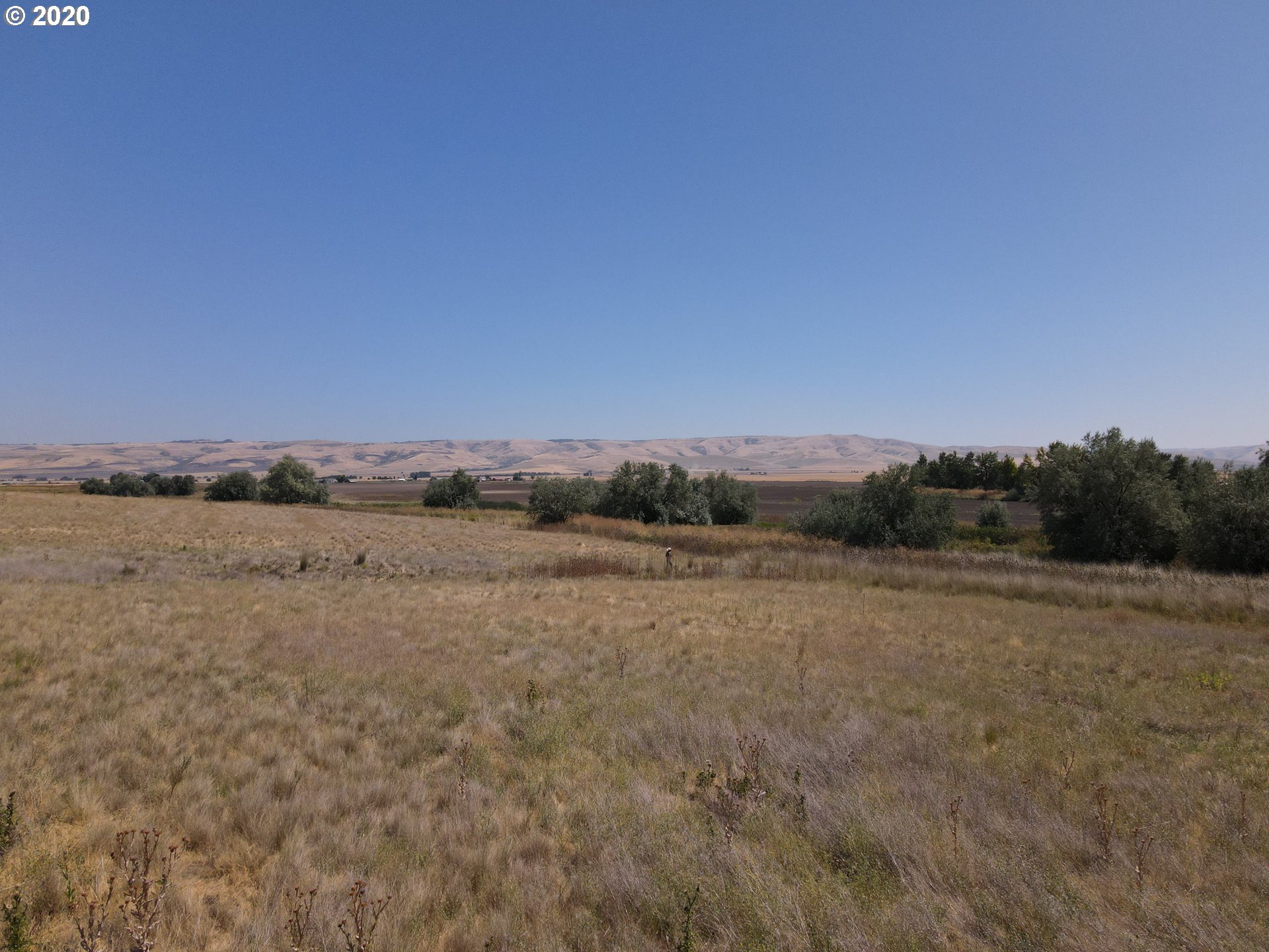 Goad Road Pendleton, OR 97801 - Photo 4 of 7