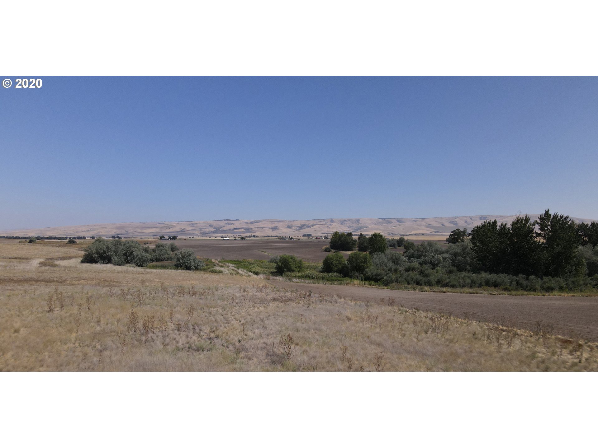Goad Road Pendleton, OR 97801 - Photo 6 of 7