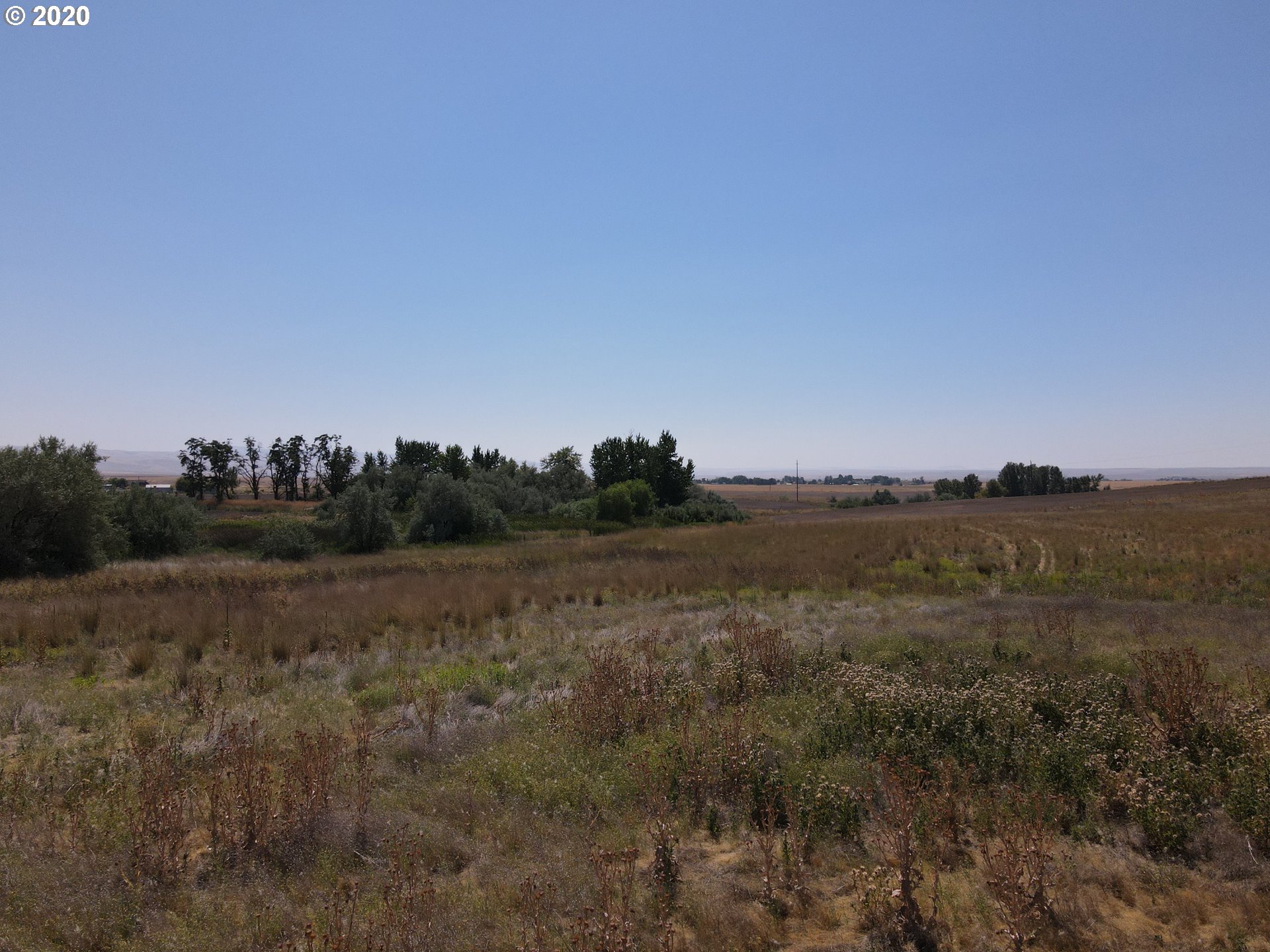 Goad Road Pendleton, OR 97801 - Photo 7 of 7