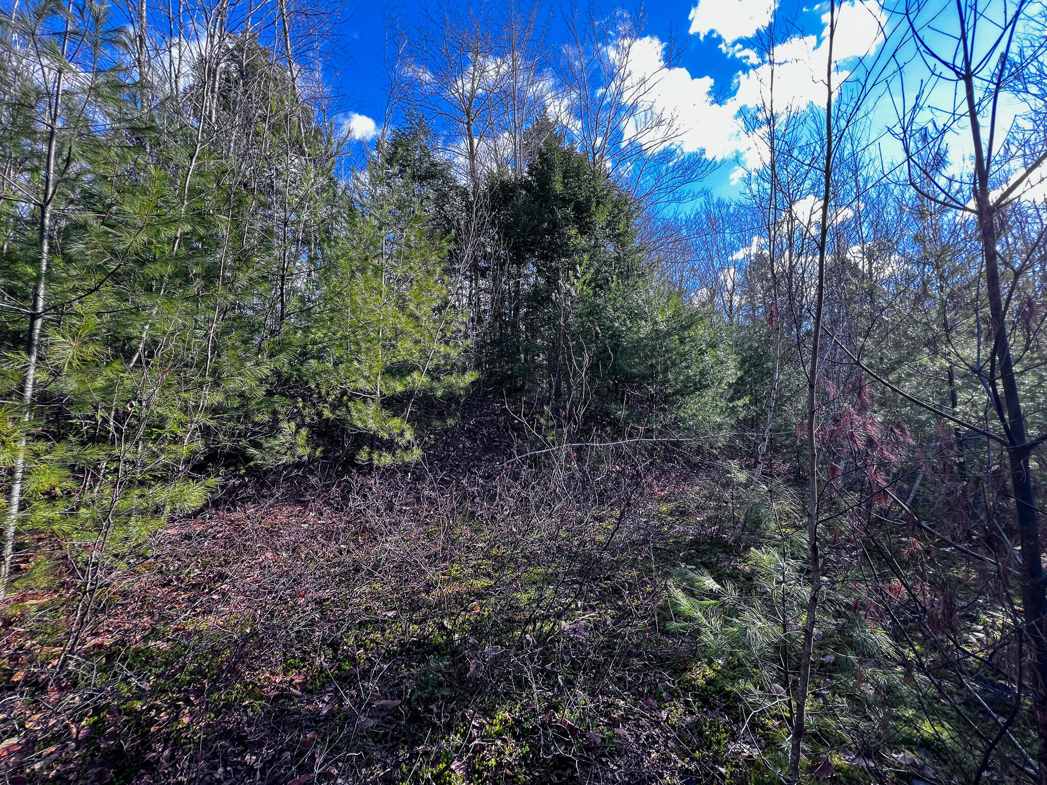 1 Flat Ground Road Acton, ME 04001 - Photo 20 of 34 IMG_2351