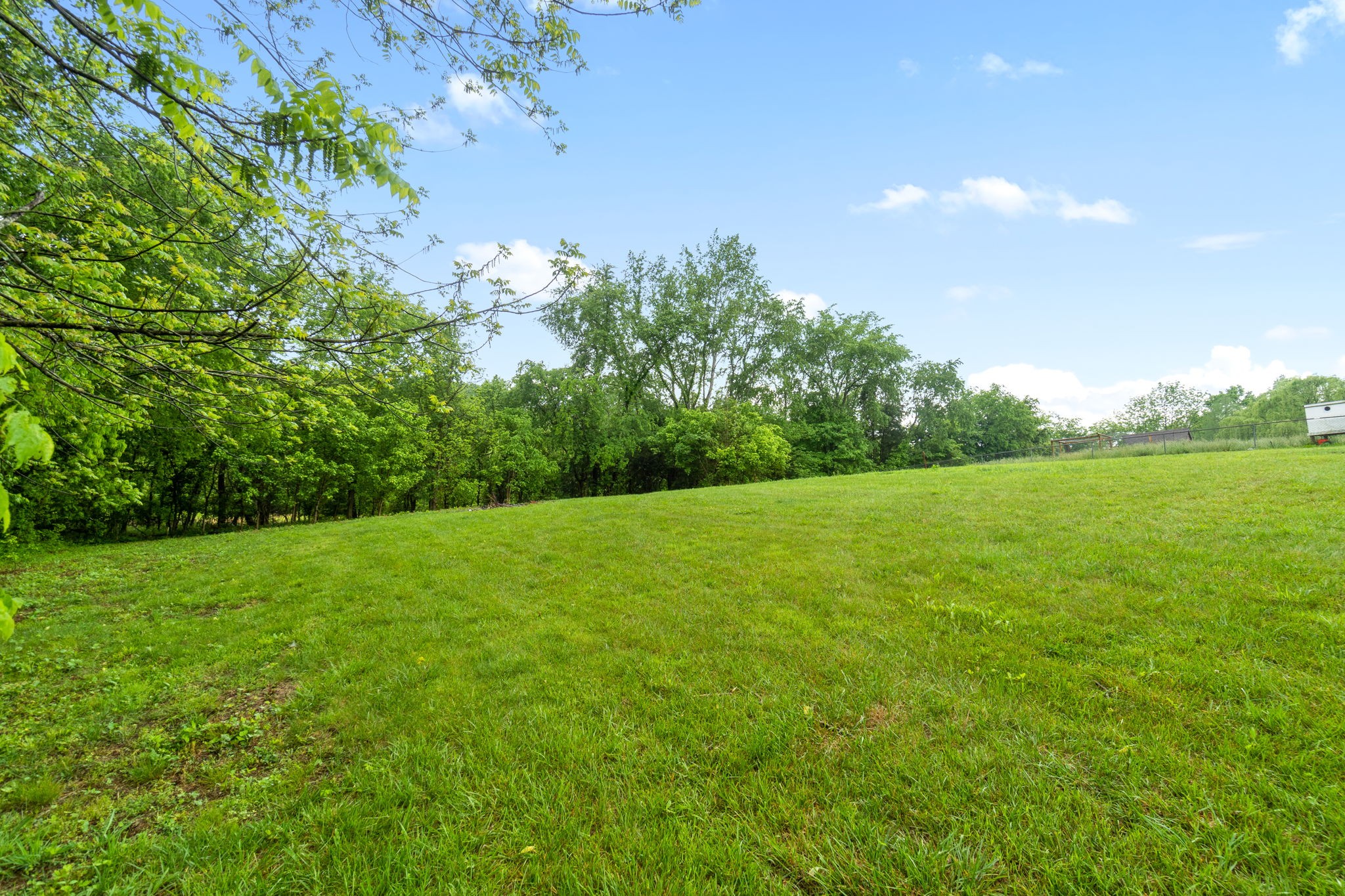 198 Cummings Creek Road Clarksville, TN 37042 - Photo 39 of 43 a view of a garden with plants and large trees