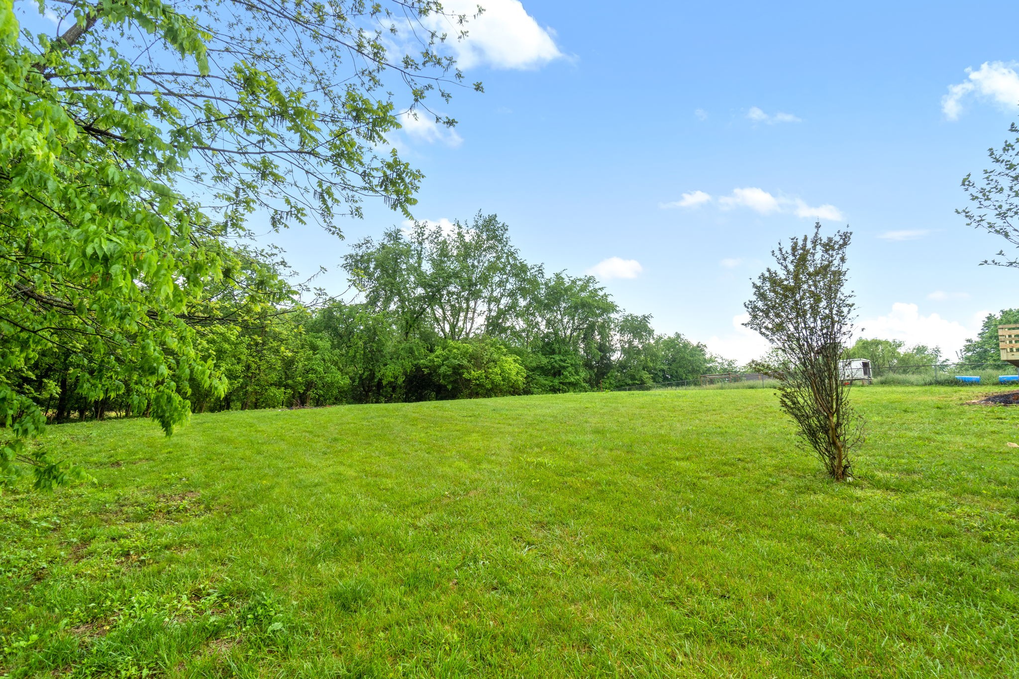 198 Cummings Creek Road Clarksville, TN 37042 - Photo 40 of 43 a view of field with trees in the background