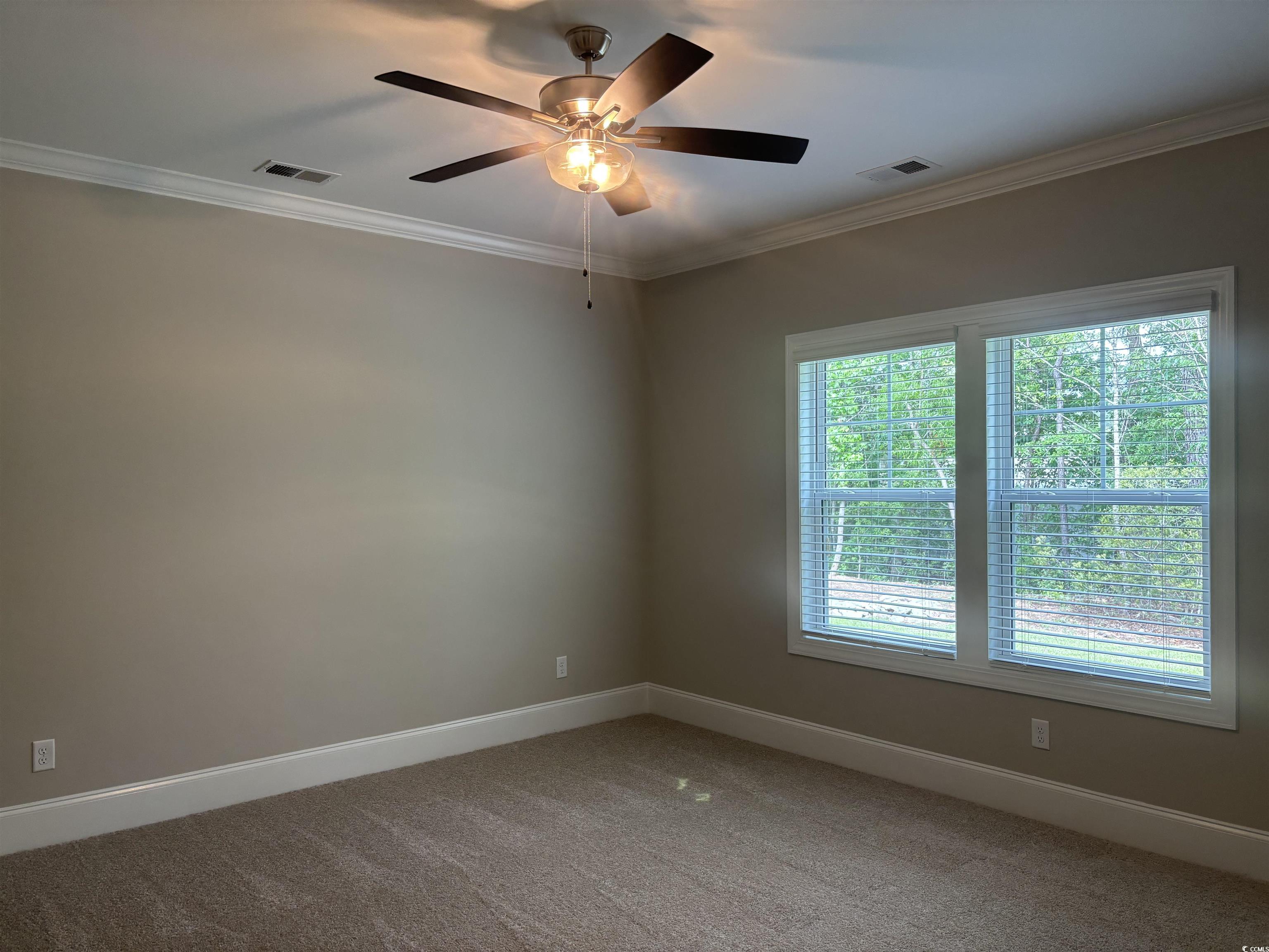 3125 Tiger Tail Road Conway, SC 29526 - Photo 16 of 37 Empty room with plenty of natural light, baseboards, and ornamental molding