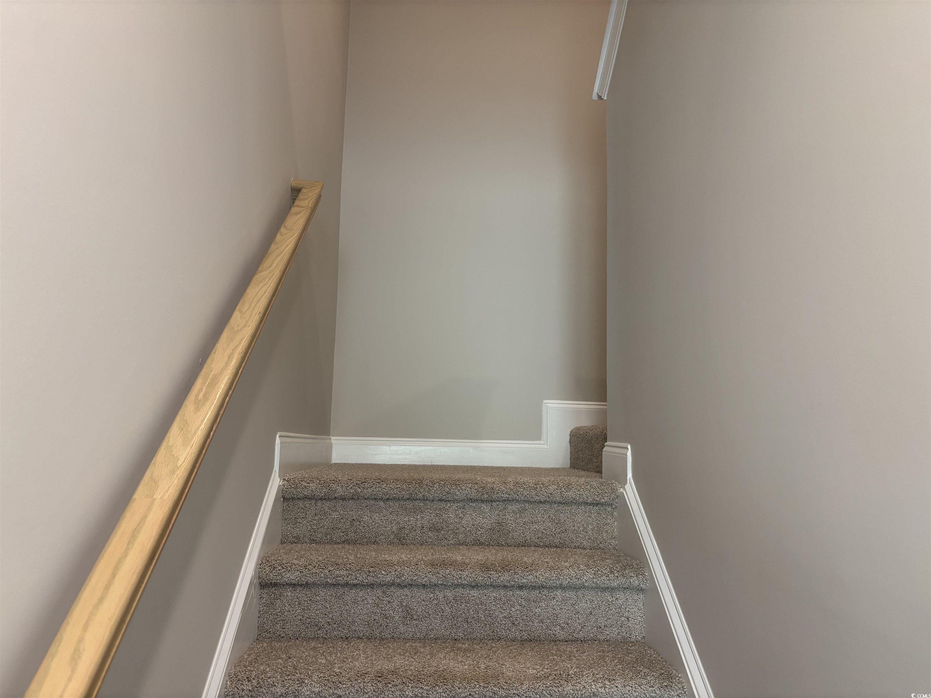 3125 Tiger Tail Road Conway, SC 29526 - Photo 22 of 37 Staircase with carpet flooring