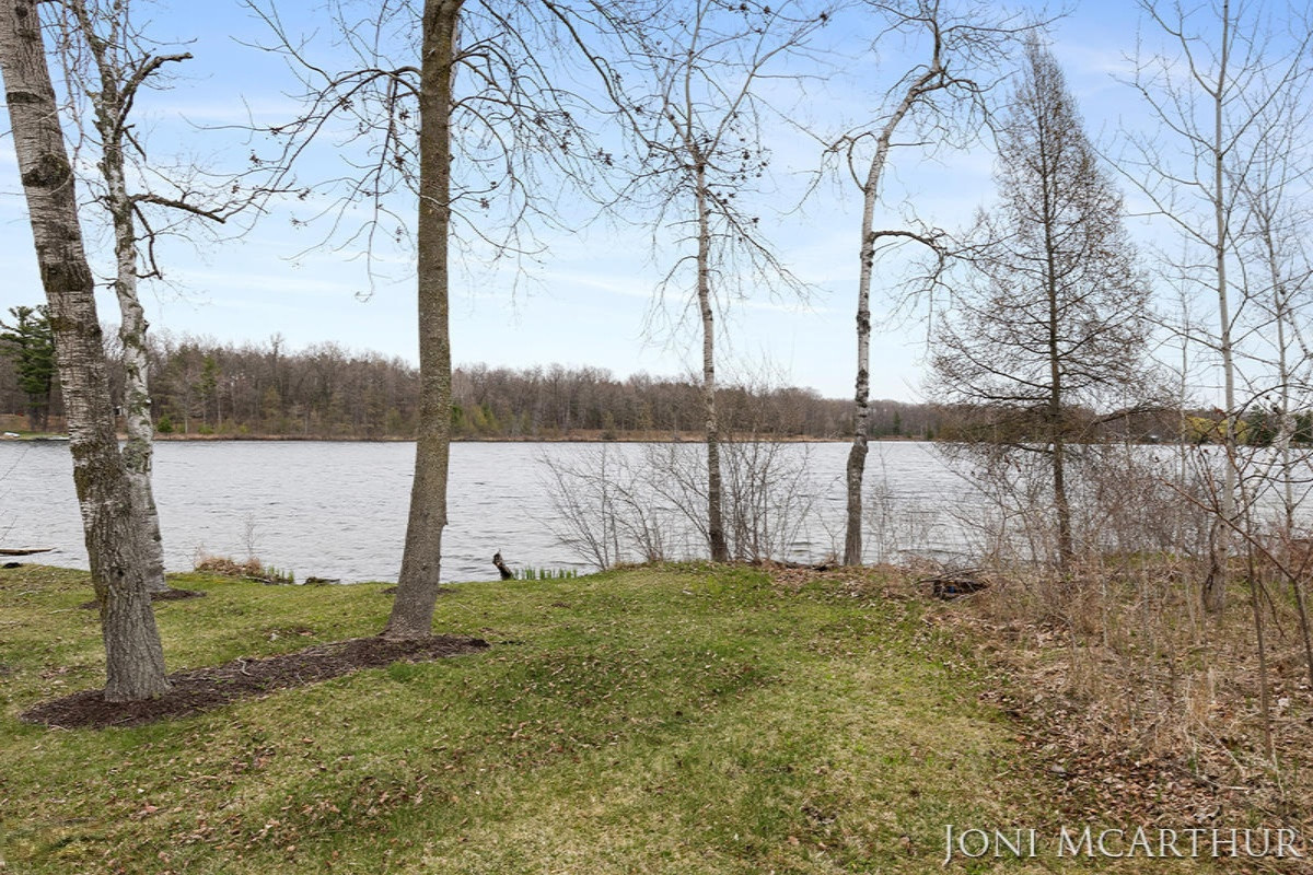 358 Potter Place Stanton, MI 48888 - Photo 29 of 48 IMG_1028