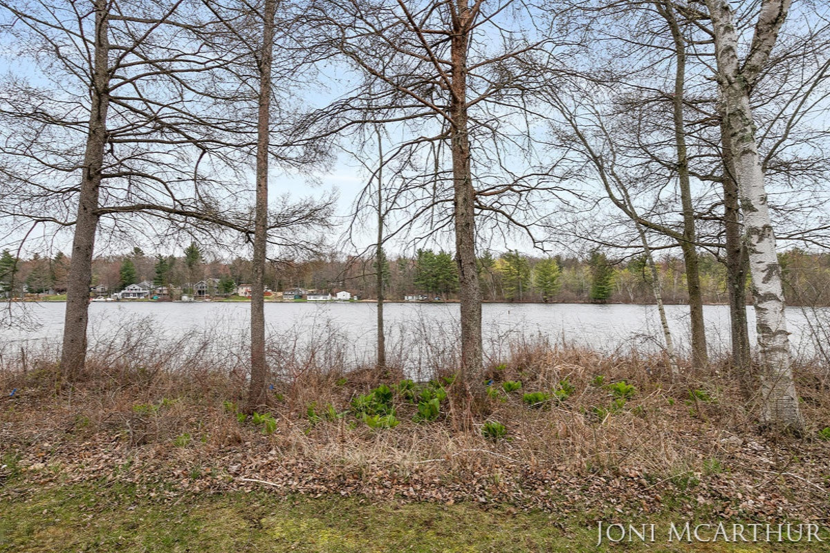 358 Potter Place Stanton, MI 48888 - Photo 30 of 48 IMG_1029