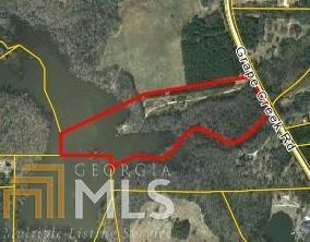 0 Grape Creek Road Milner, GA 30257 - Photo 1 of 1