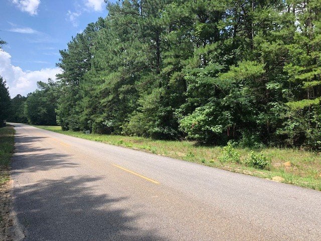 6-ac Lester Bell Road Brantley, AL 36009 - Photo 13 of 14 Gallery Image 13