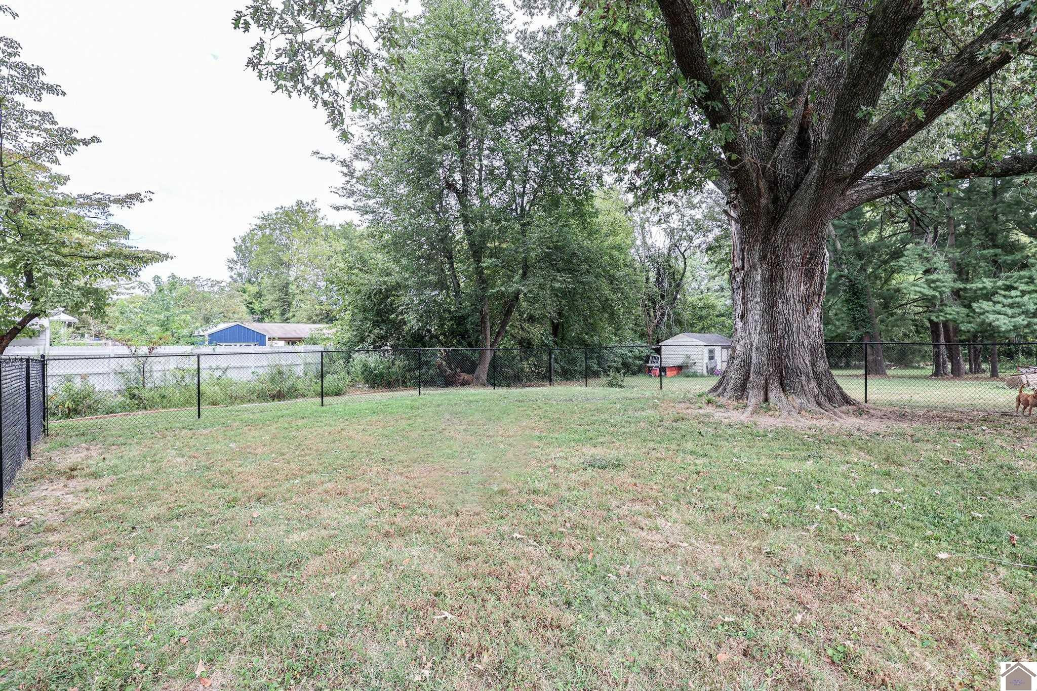 3283 Harrison Street Paducah, KY 42001 - Photo 7 of 31 Backyard
