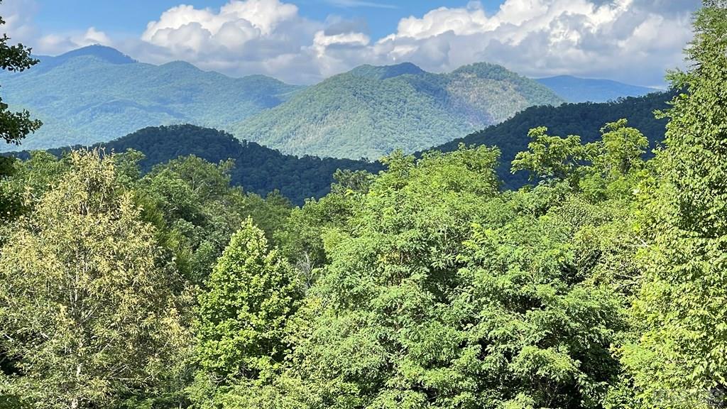 1-3 Moody Bridge Road Cullowhee, NC 28723 - Photo 13 of 16 Gallery Image 13