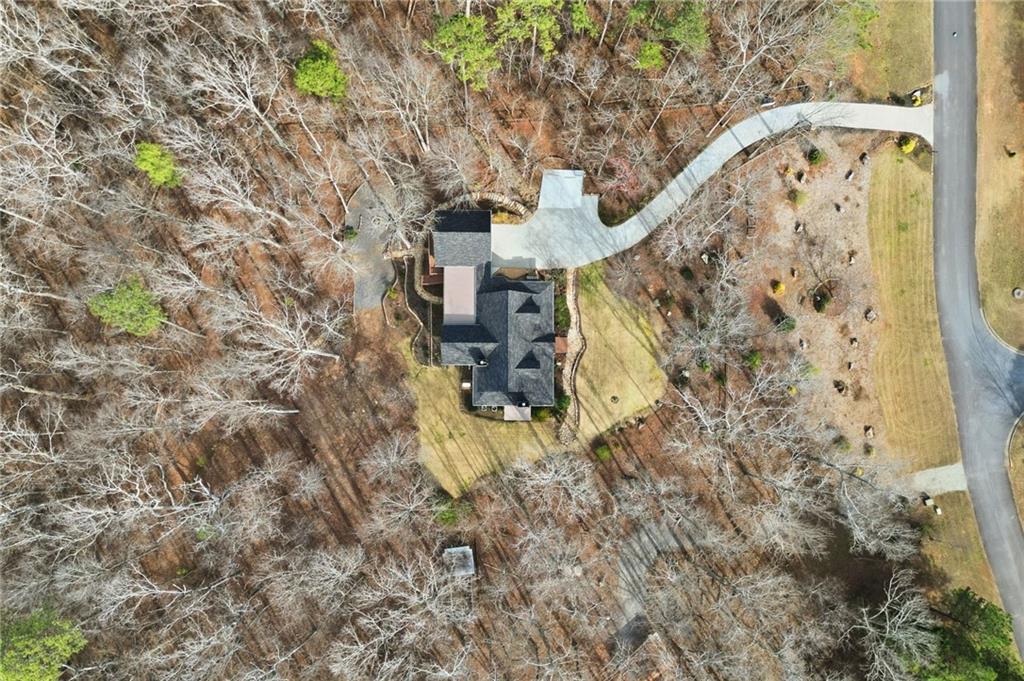 217 Wild Turkey Ridge Ball Ground, GA 30107 - Photo 12 of 55 a view of entryway with a tree