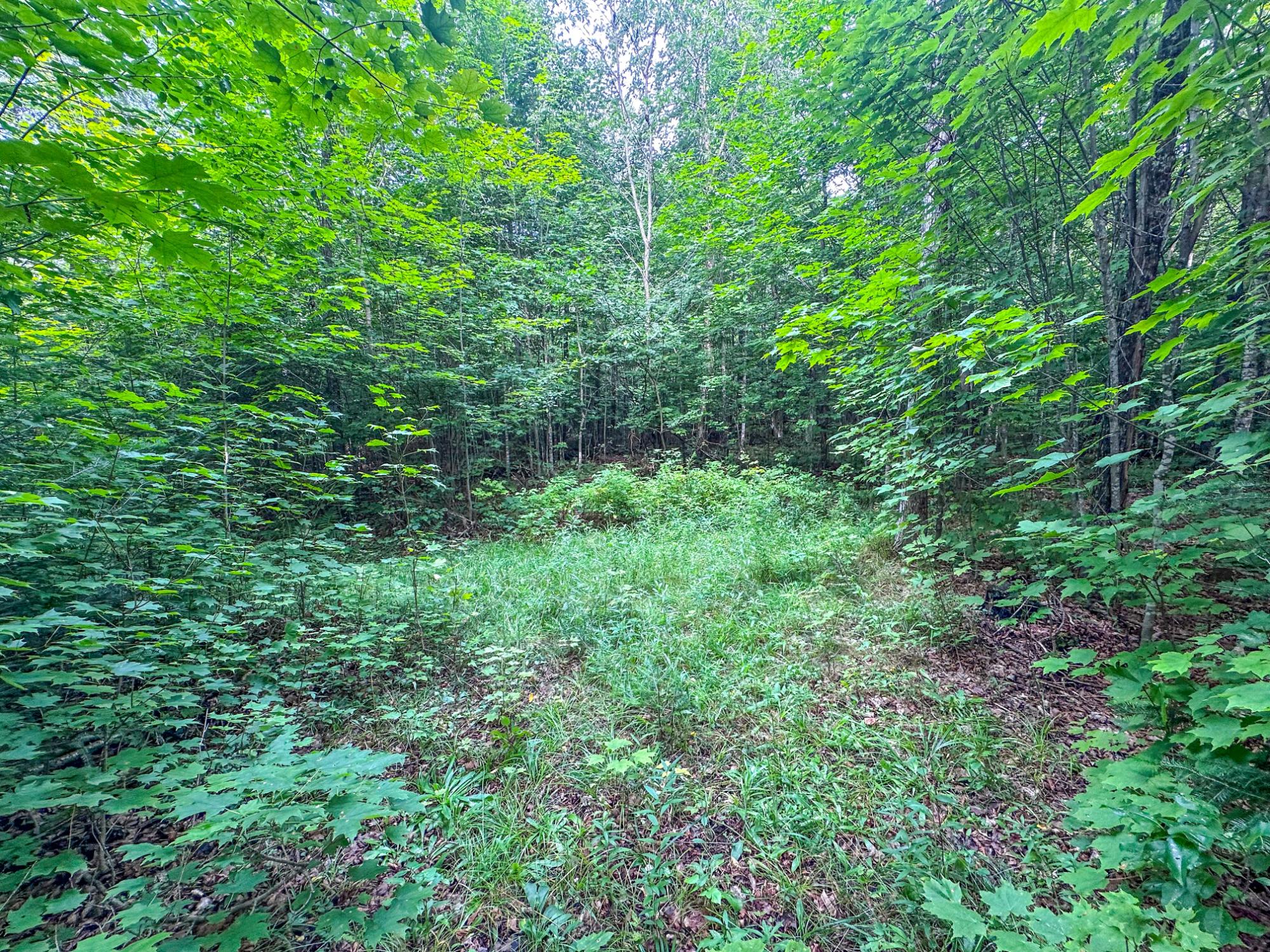 93.89 A Kundinger Road Park Falls, WI 54552 - Photo 21 of 36 Gallery Image 21