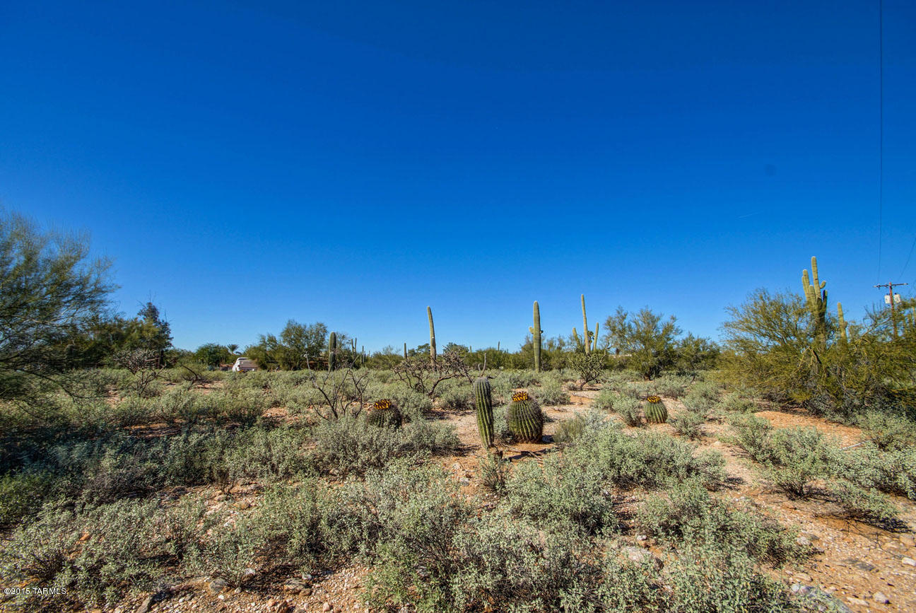 303 East Rudasill Road Tucson, AZ 85704 - Photo 23 of 25 Gallery Image 23