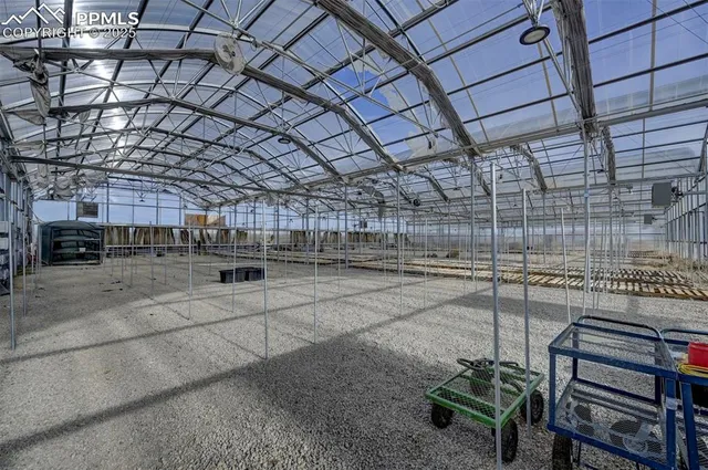 a view of an ocean and beach