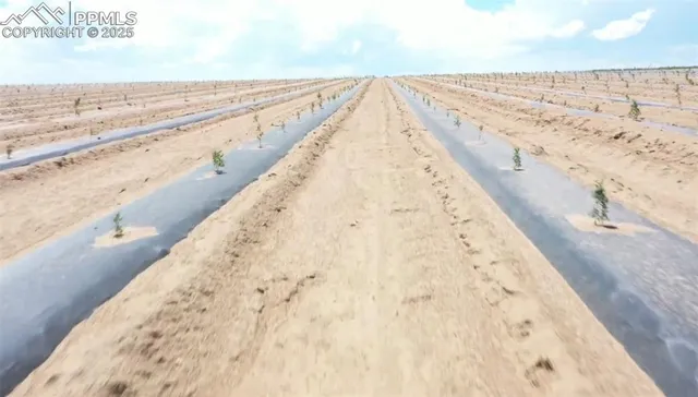 $1,950,000 | 2880 North Ramah Highway, Yoder, CO 80864