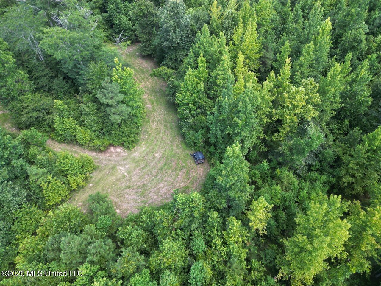 Pam Road Aimwell, LA 71401 - Photo 2 of 38 DJI_0433 Large