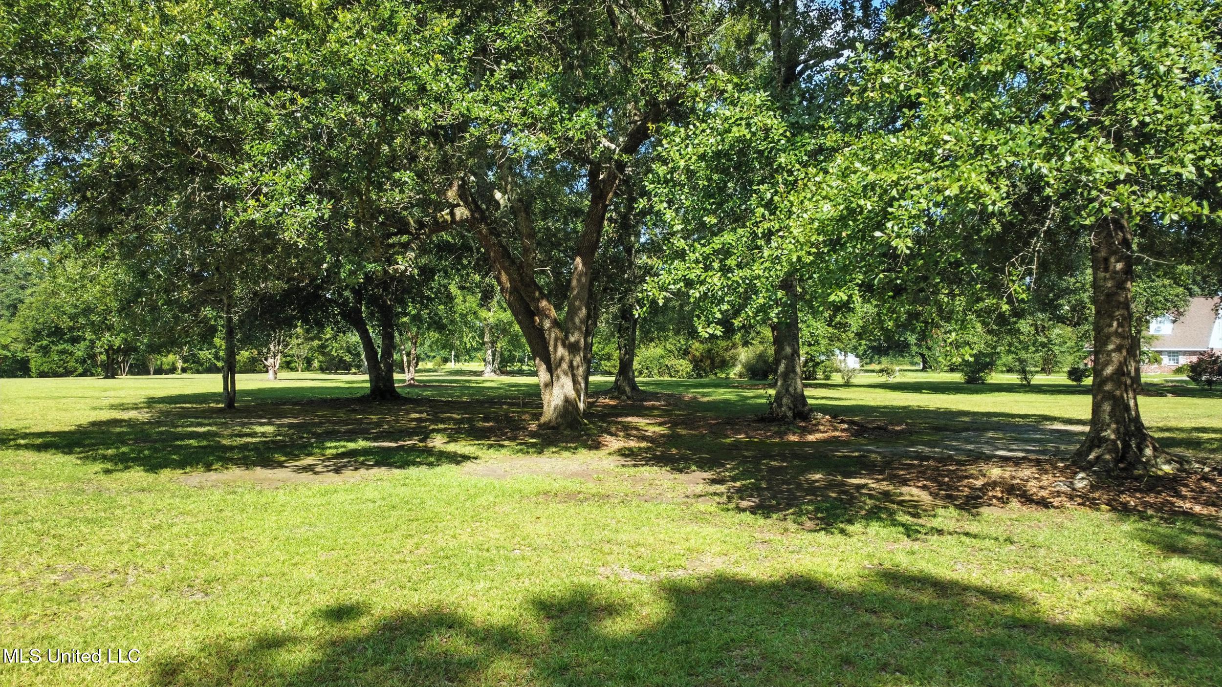 11362 Old Kiln Road Picayune, MS 39466 - Photo 37 of 40 37_yard 3