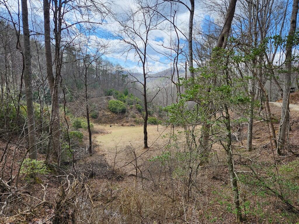 0 Camp Branch Road Topton, NC 28781 - Photo 29 of 41 Gallery Image 29