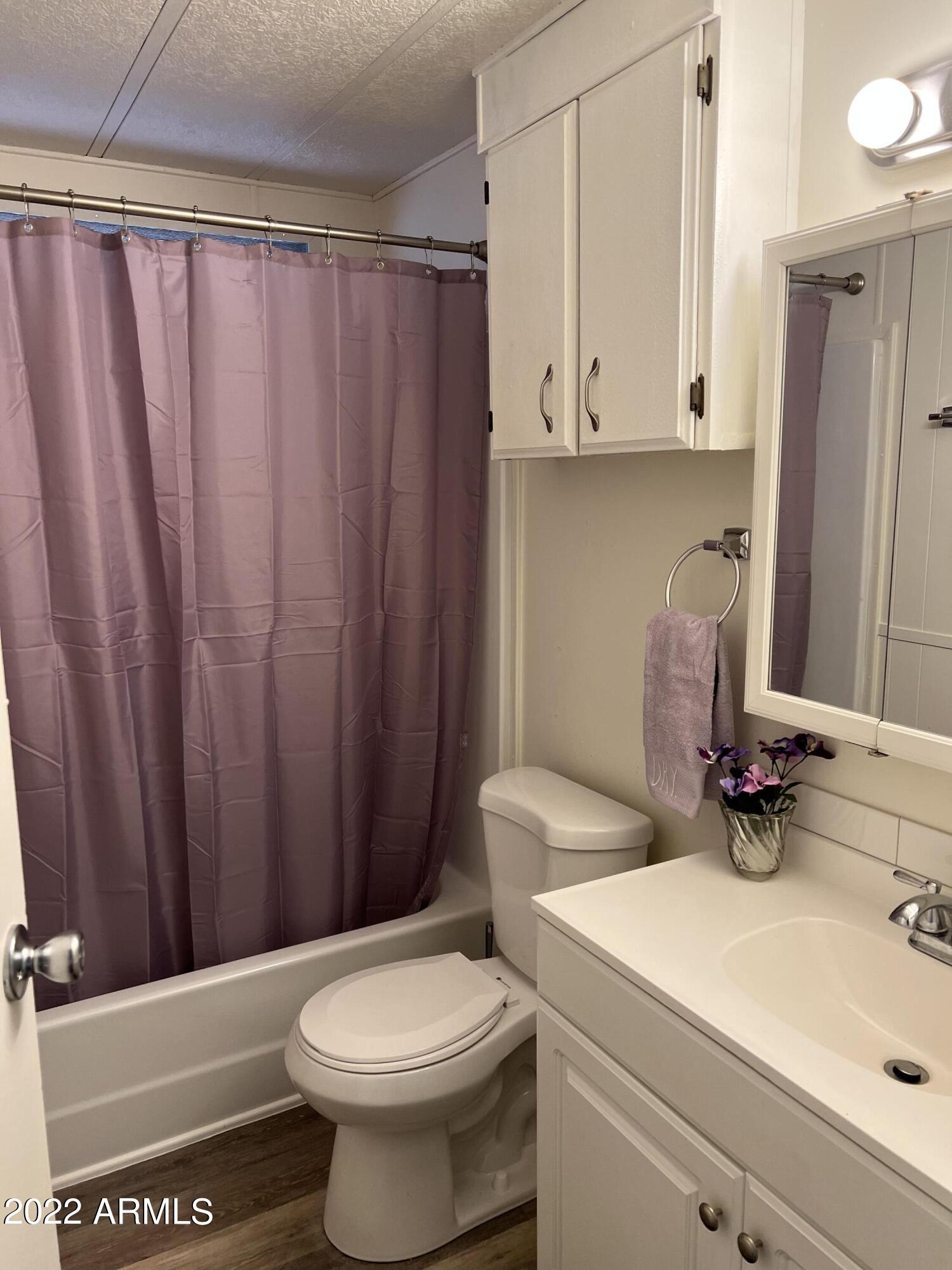 2191 South Tomahawk Road Apache Junction, AZ 85119 - Photo 7 of 15 Guest bathroom