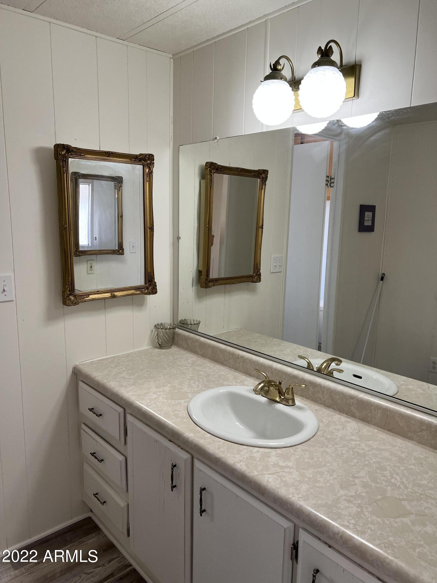 2191 South Tomahawk Road Apache Junction, AZ 85119 - Photo 8 of 15 Master bath