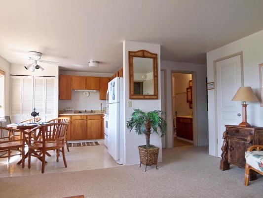 2250 Kuai Road, Unit 5 Koloa, HI 96756 - Photo 5 of 19 a view of a livingroom with furniture and a potted plant